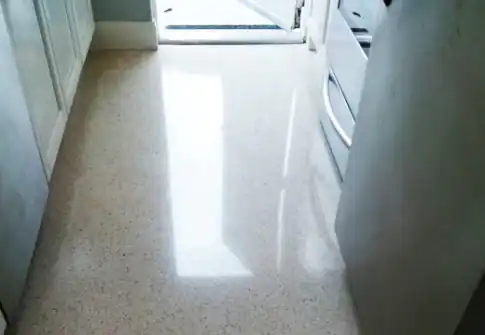 Terrazzo Floor Cleaning Palm Beach